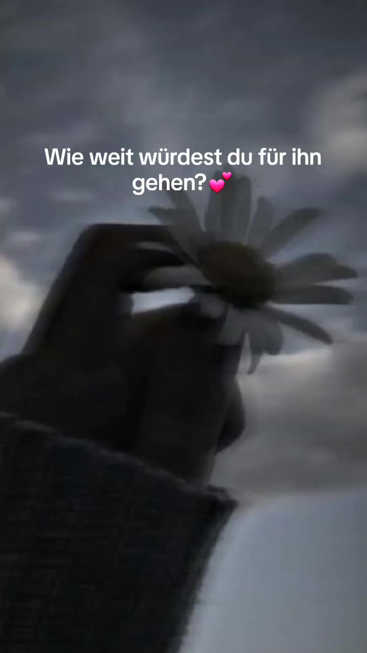 @𝔑𝔢𝔩𝔩𝔦𝔢
