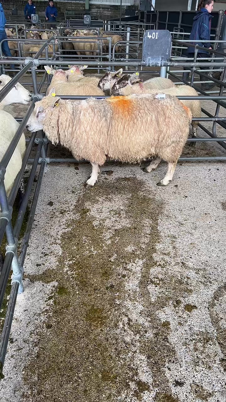 @Blessington_mart