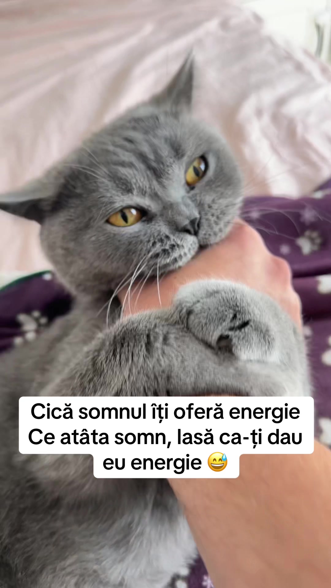 @Ionut Ungureanu