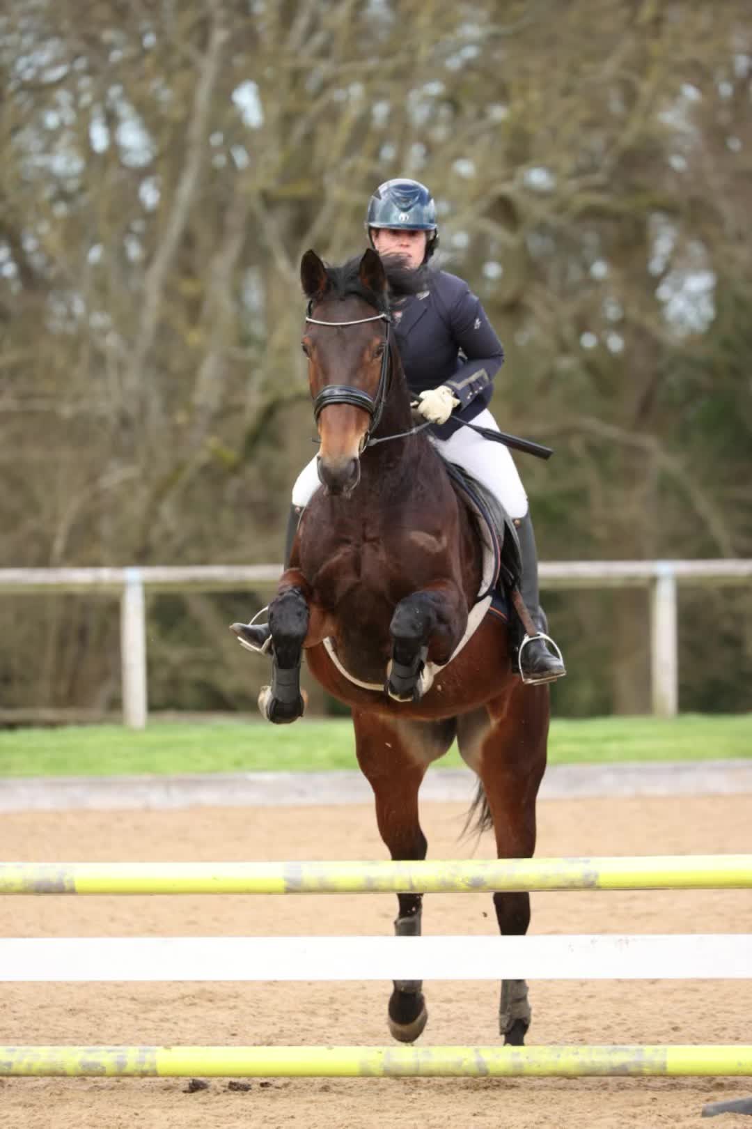 @A_G_Dressage
