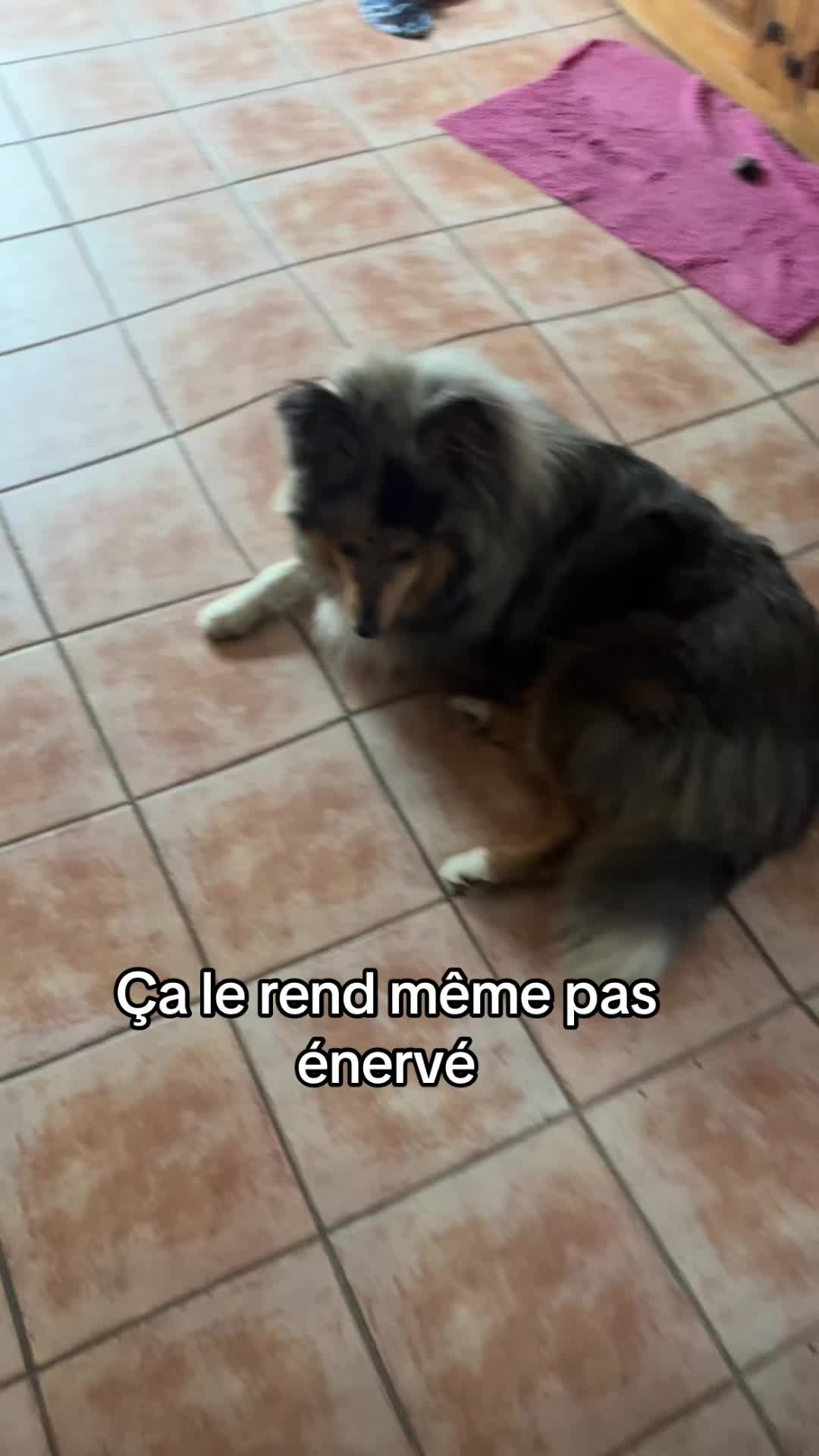 @Pinky