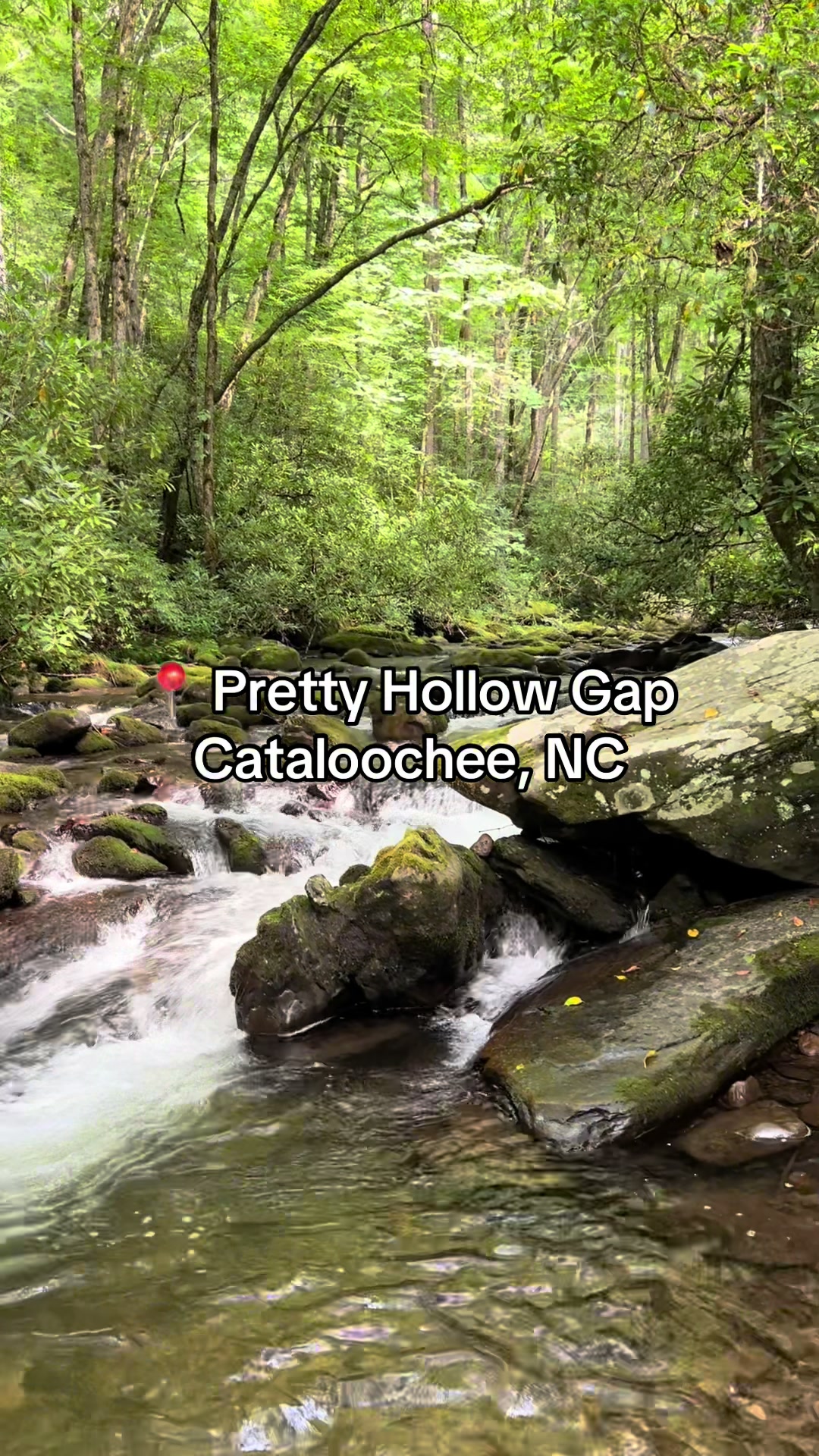 @Visit Haywood