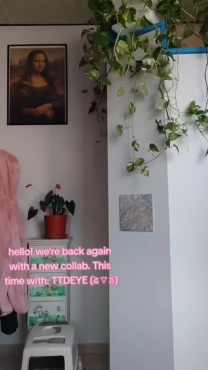 @memycos