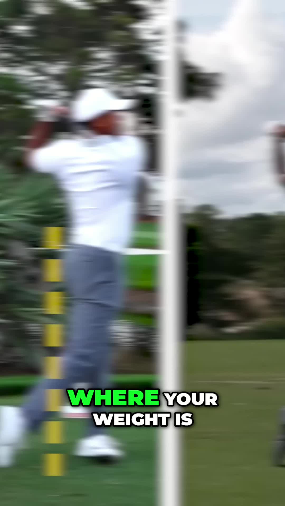 @Daily Divots
