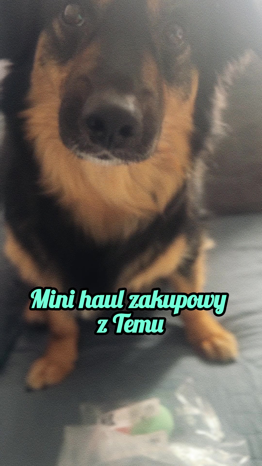@Żabkens🐸