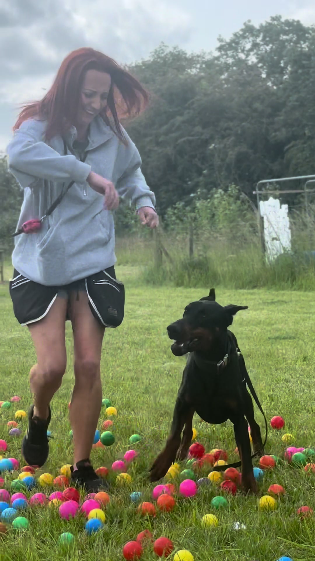 @Sirius K9