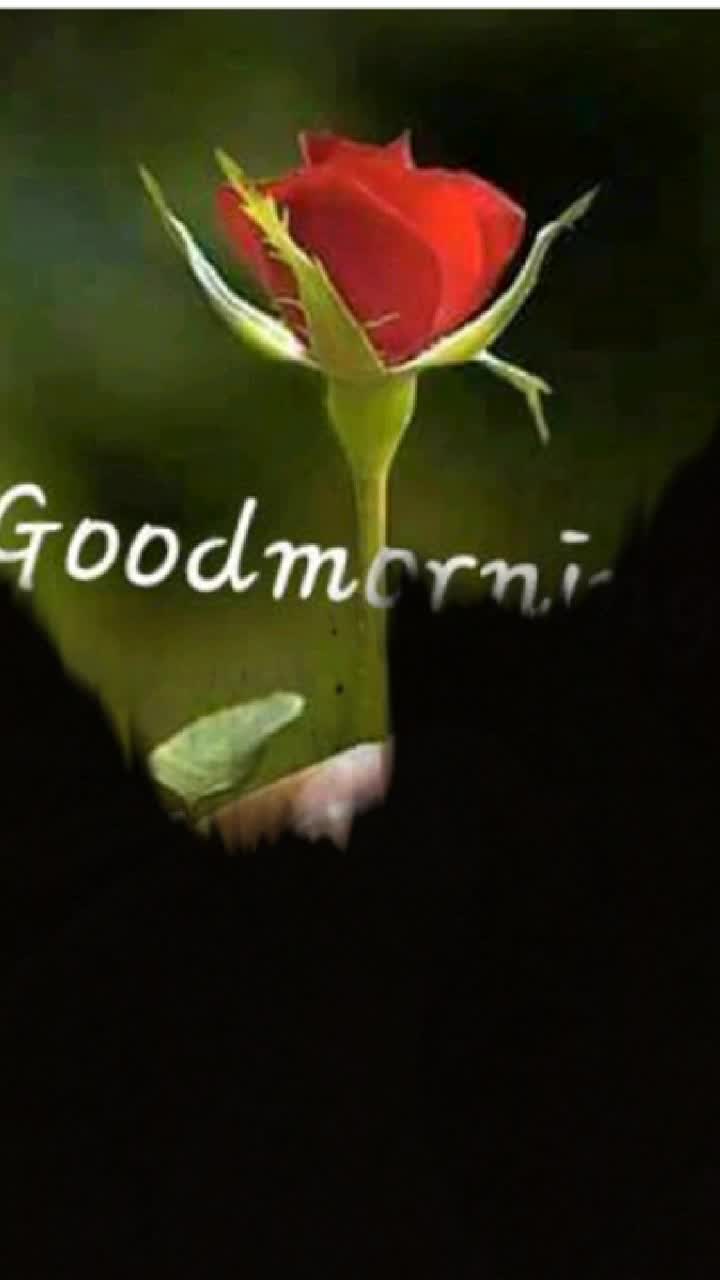 @tapan kumar mahato