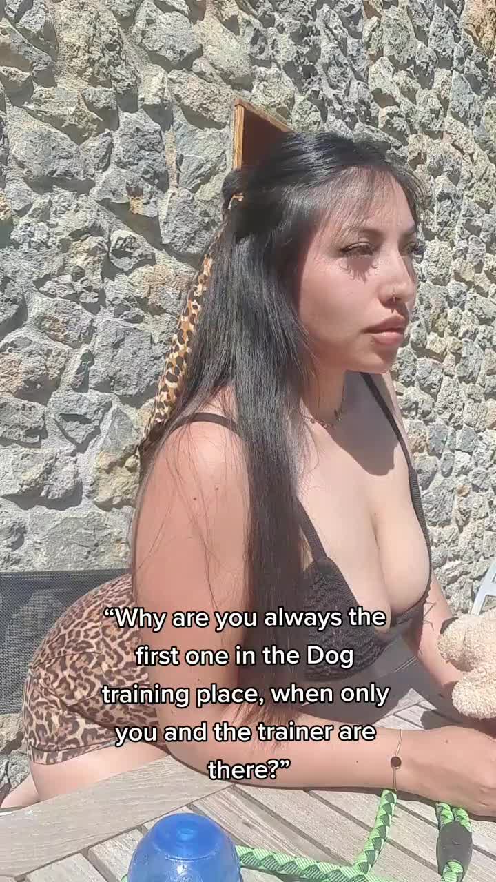 @krisyourdogtrainer