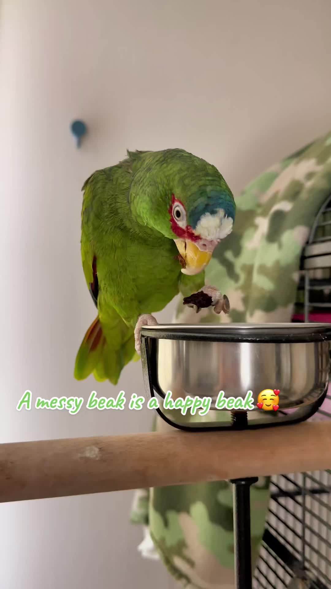 @Peeps