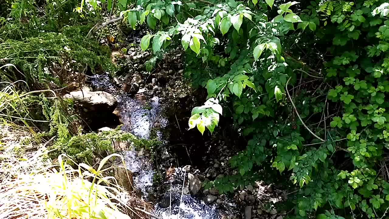 @Protezione Natura