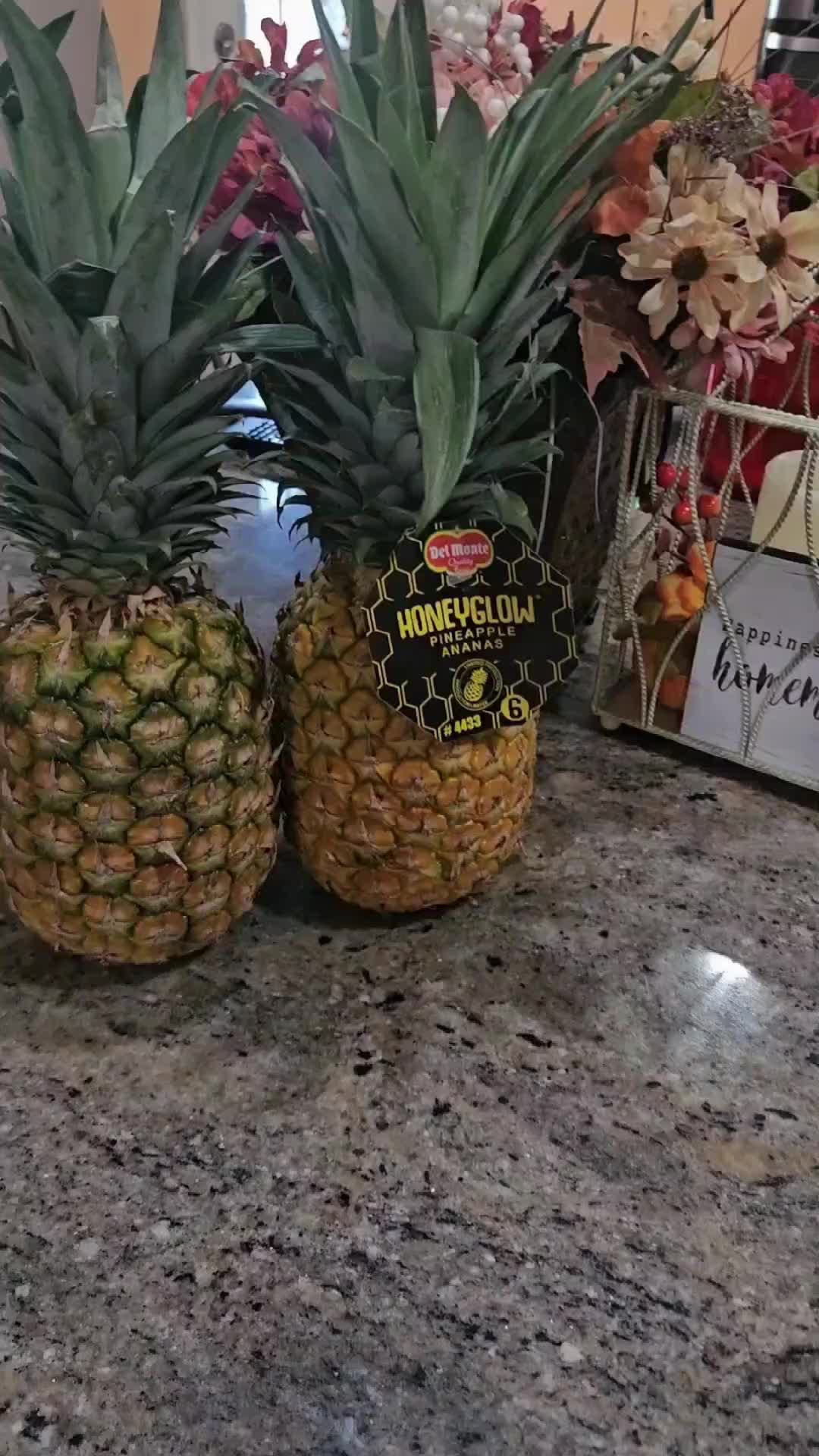@PAMealYaMomma