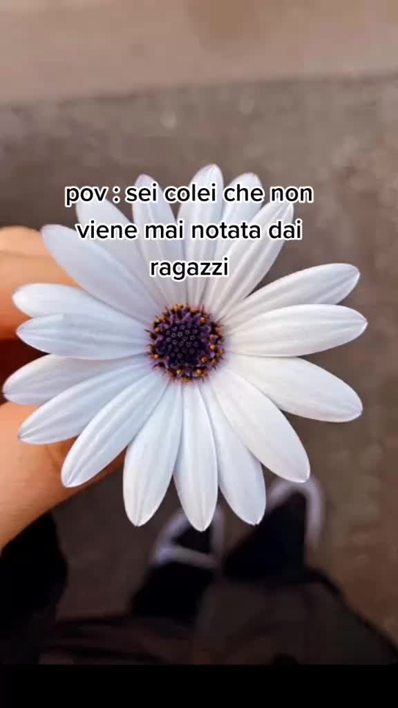 @mariarca