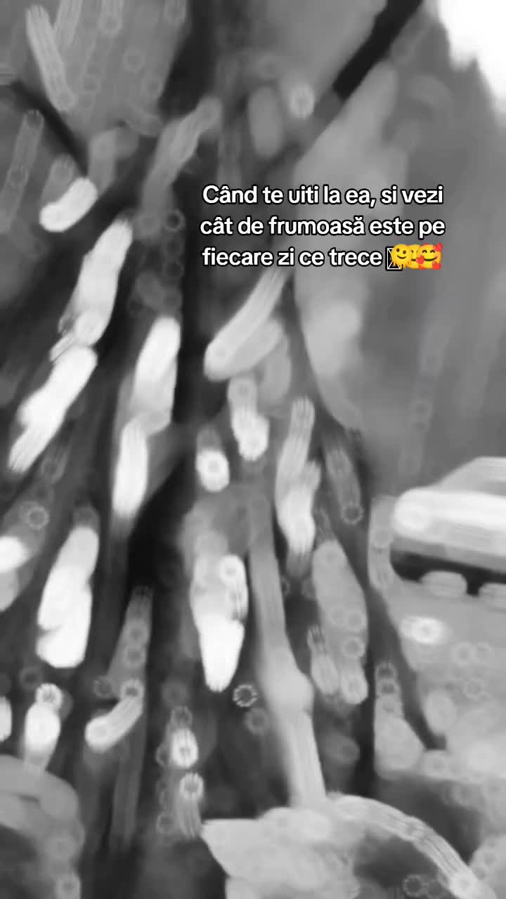 @Edy Edițzu