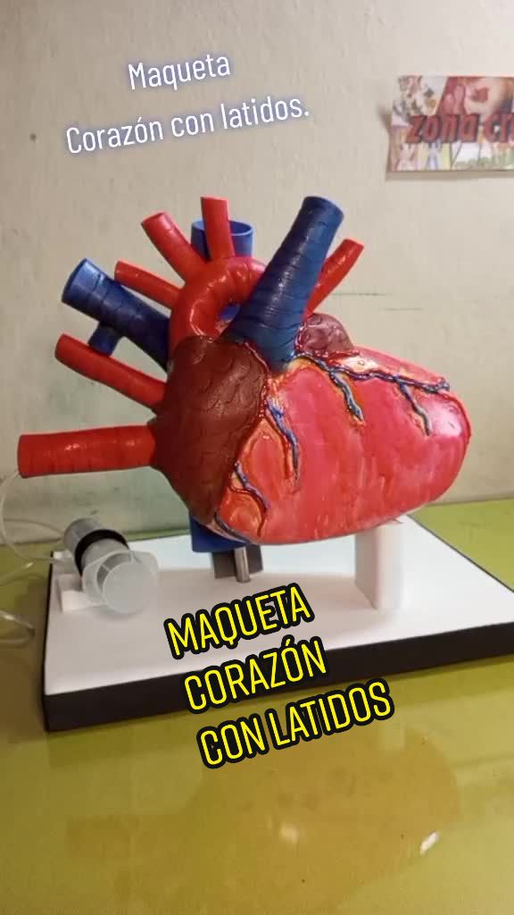 @Zona Creativa Anny's