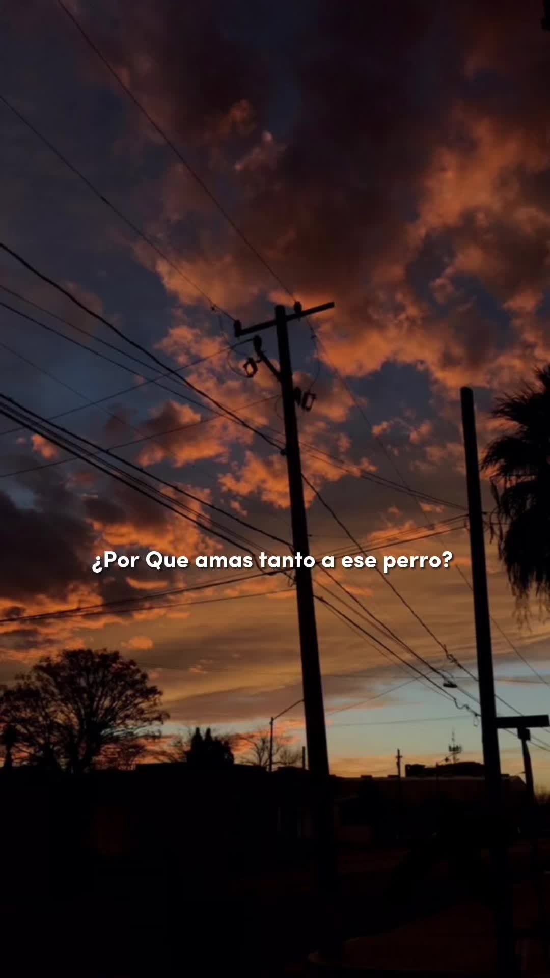 @💭C H I I A S A A💭