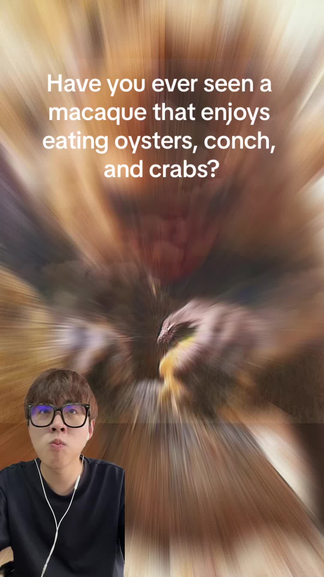 @aboutanimals