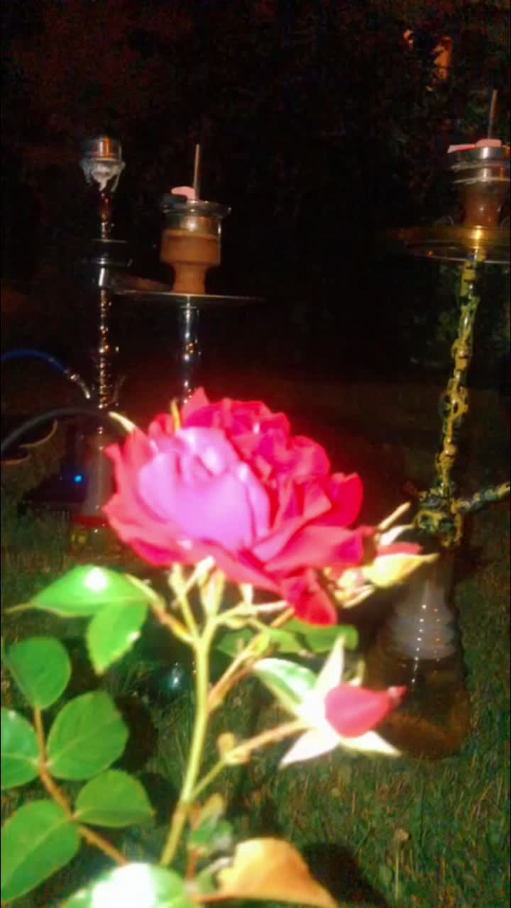 @Šhãfî Zãdrãñ😘❤️🥀🥀