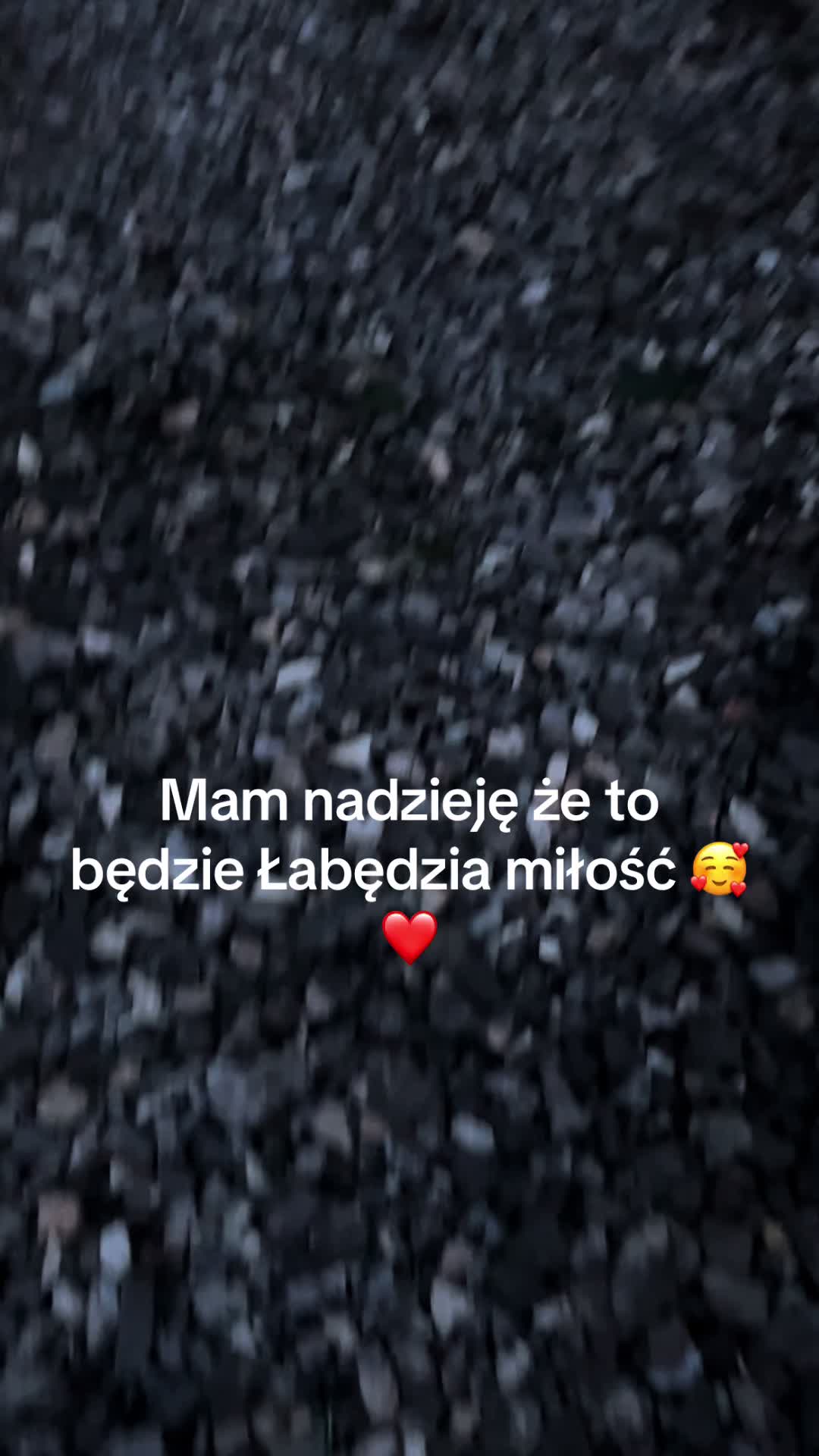 @😶&zwj;🌫️_wiktor_😶&zwj;🌫️