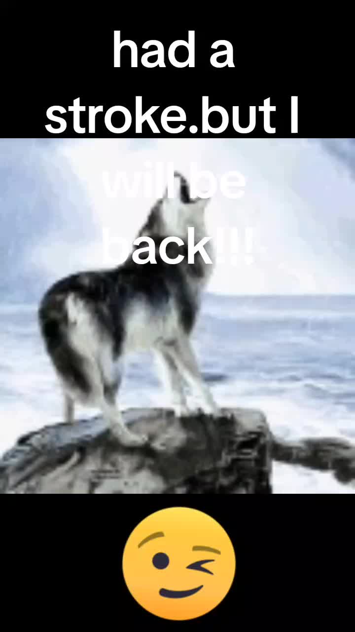 @lordchad