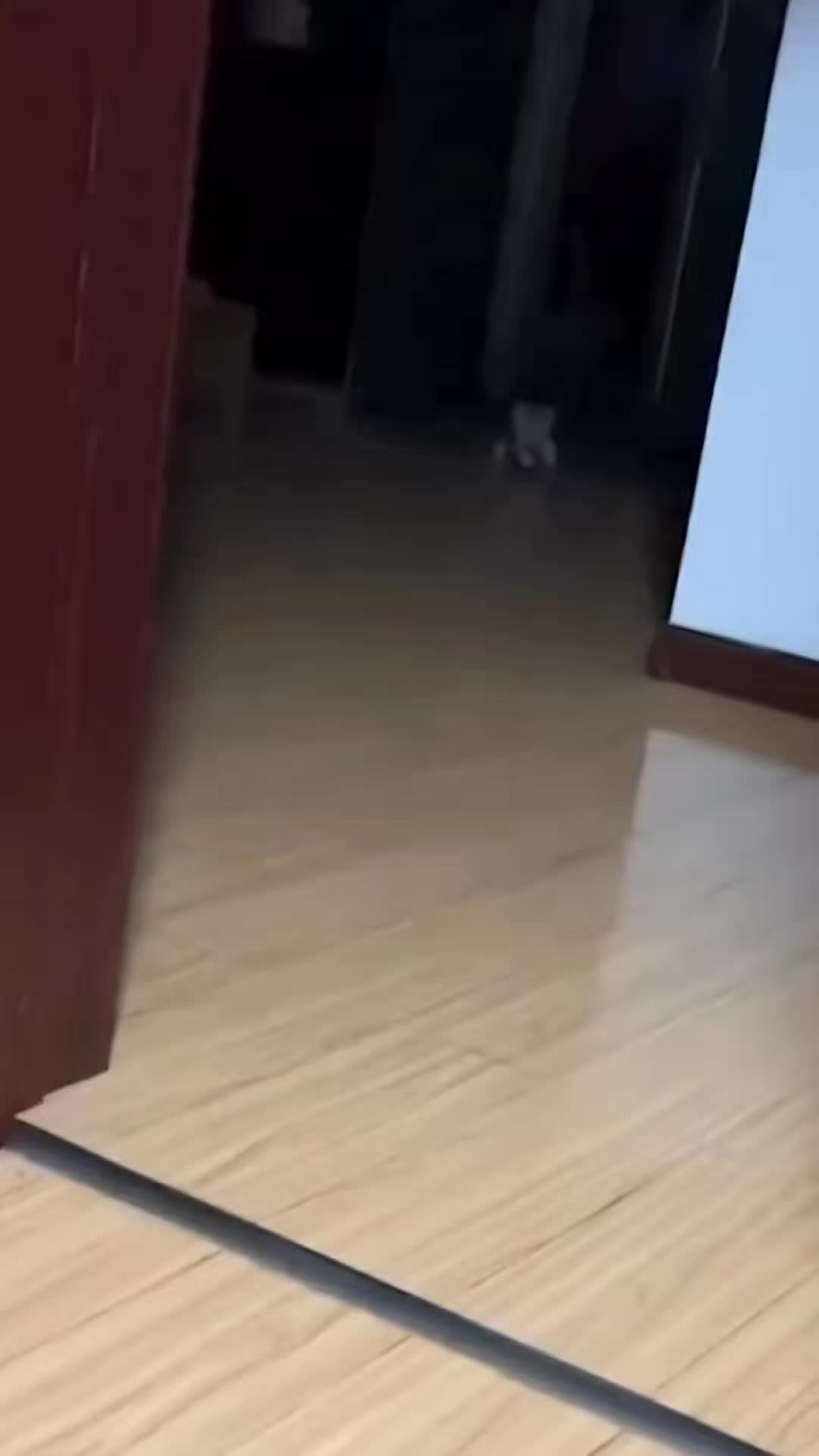 @catnipcrazee