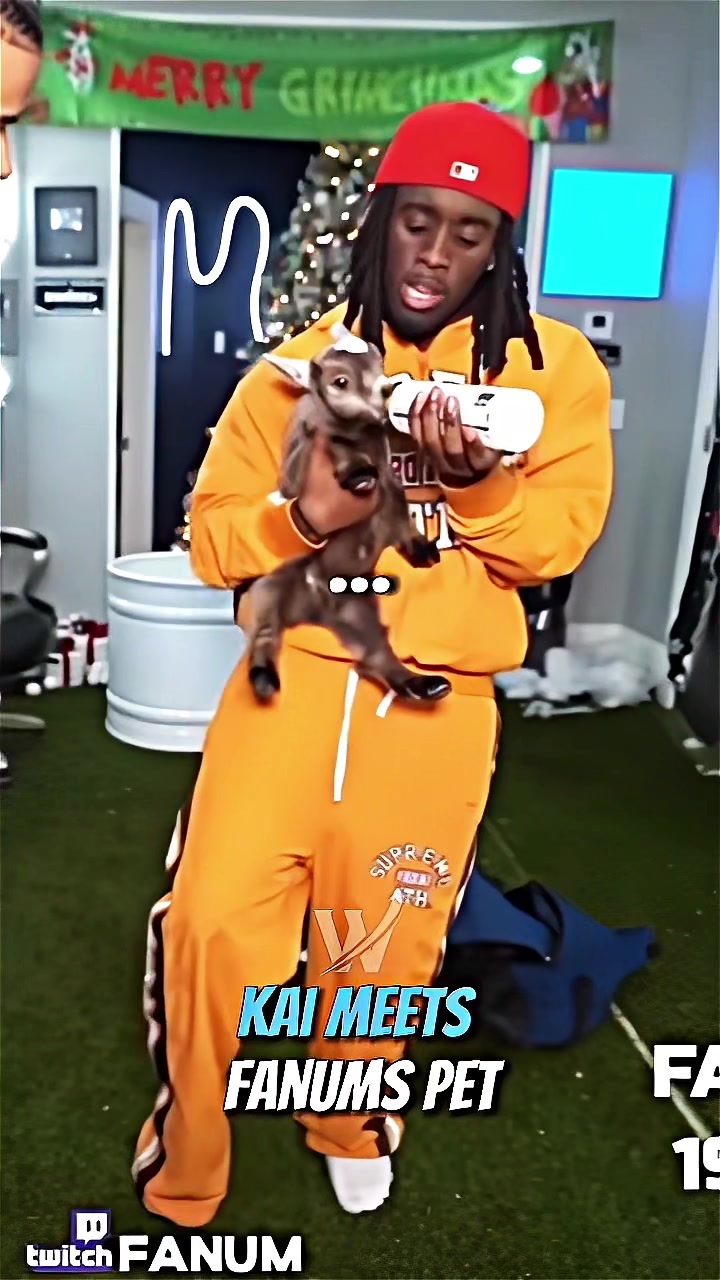 @WifiSite