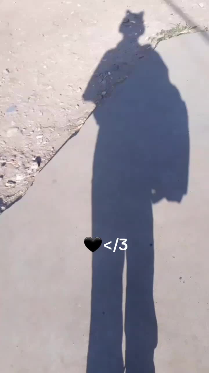 @🥀mar_uwu🥀