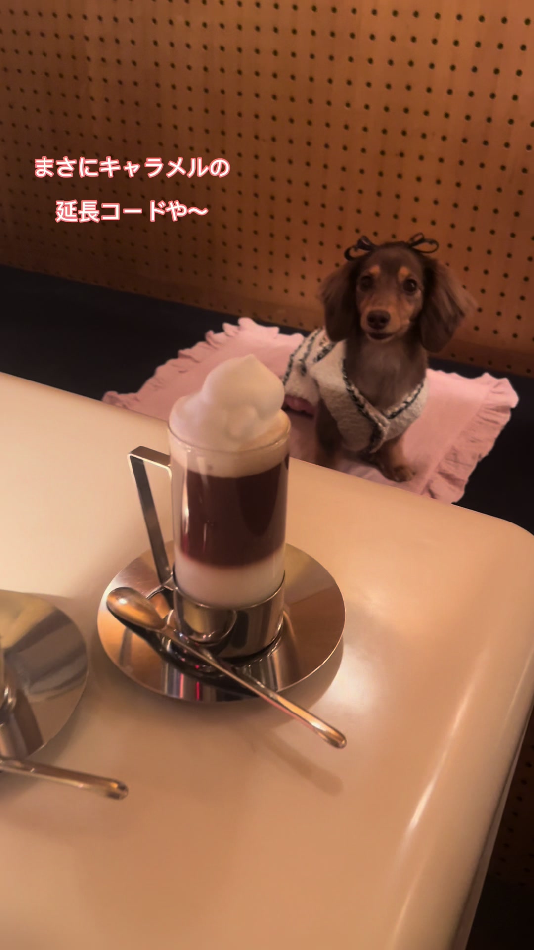 @wanwanカフェ物語