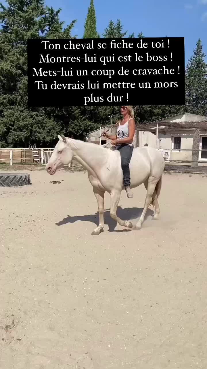 @Ranch Ethic étho