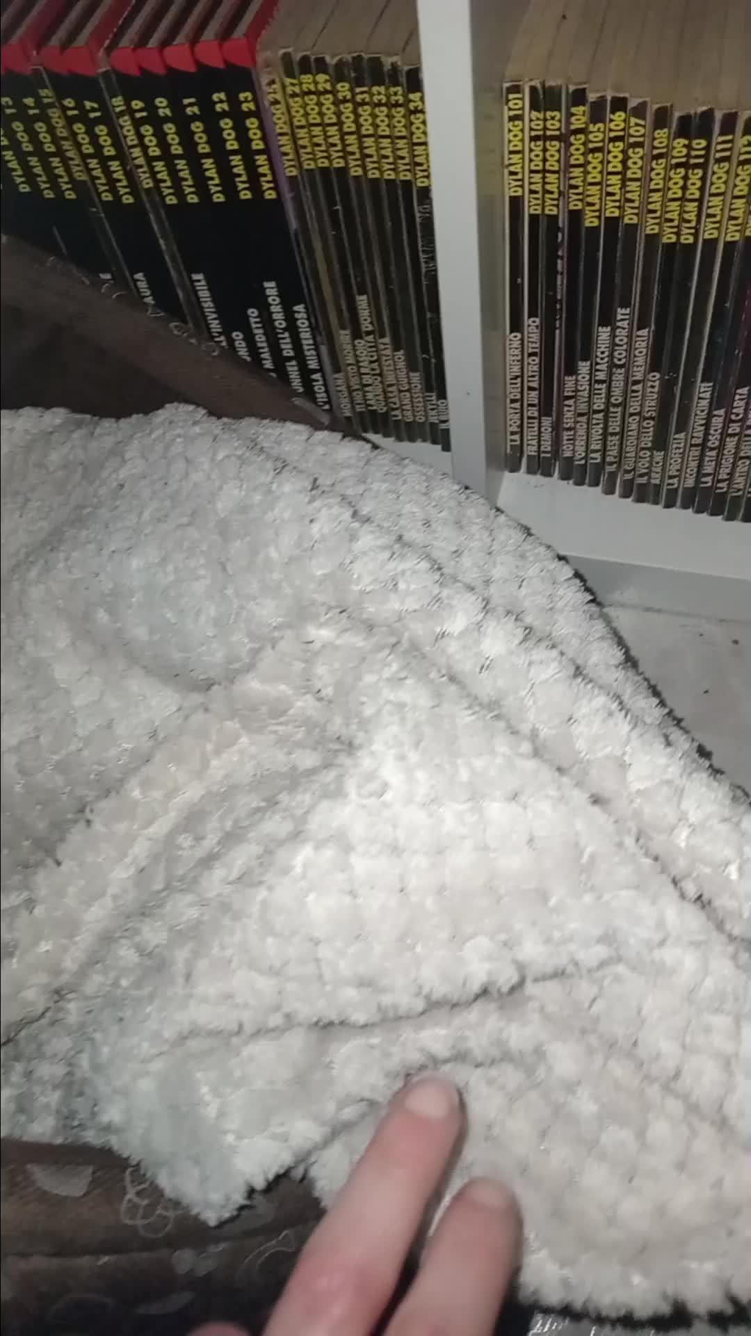 @pollysims pollylamu