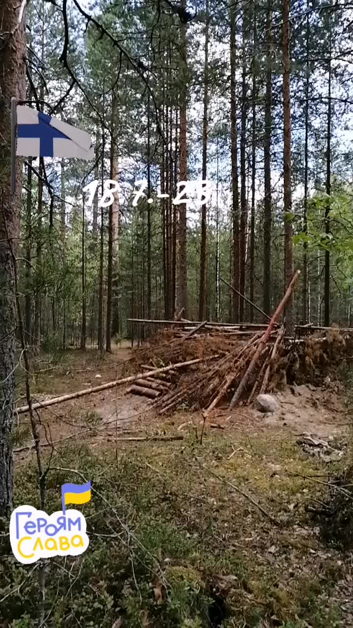 @Mira Tiirikainen