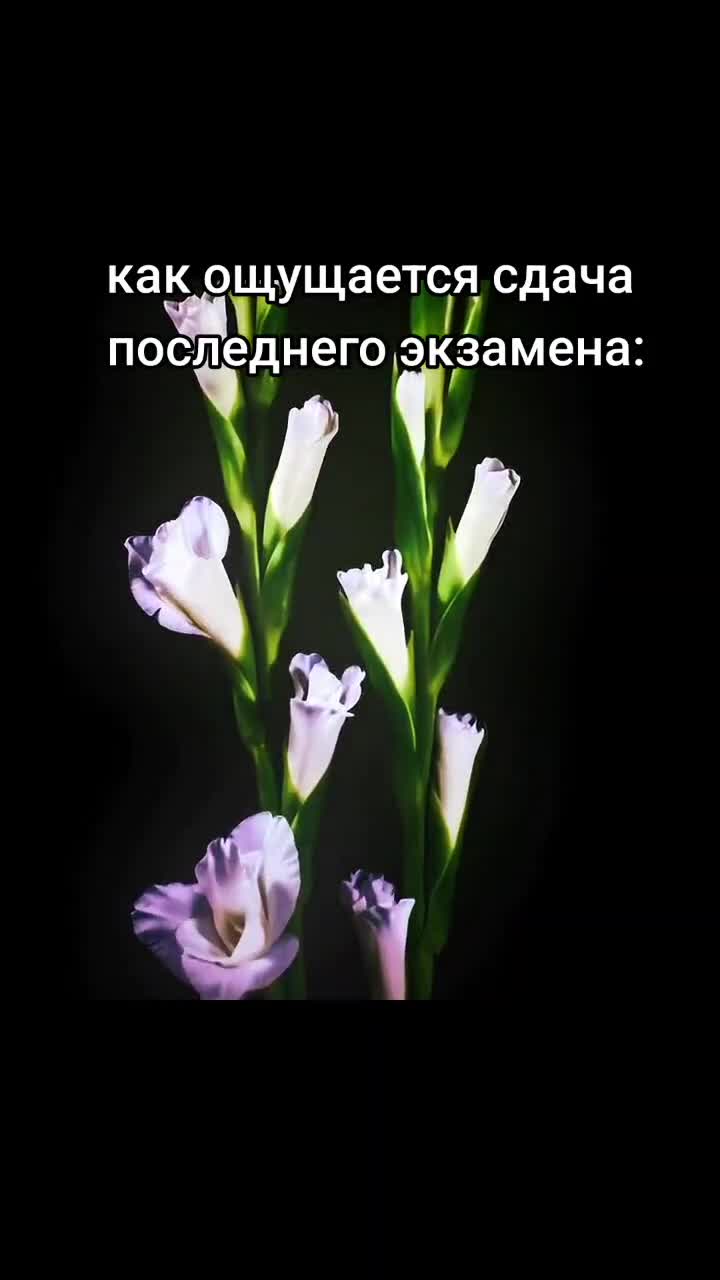 @Brafen@