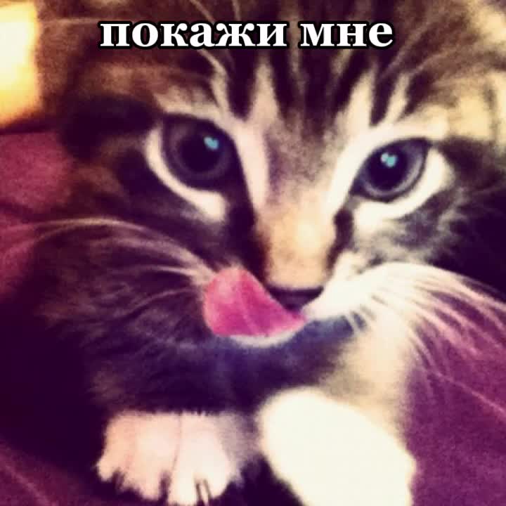 @!¡Ꮇяɸ💌¡!
