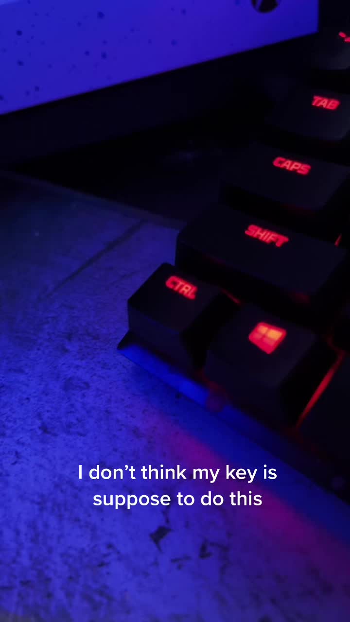 @thekeyboardwarrior_