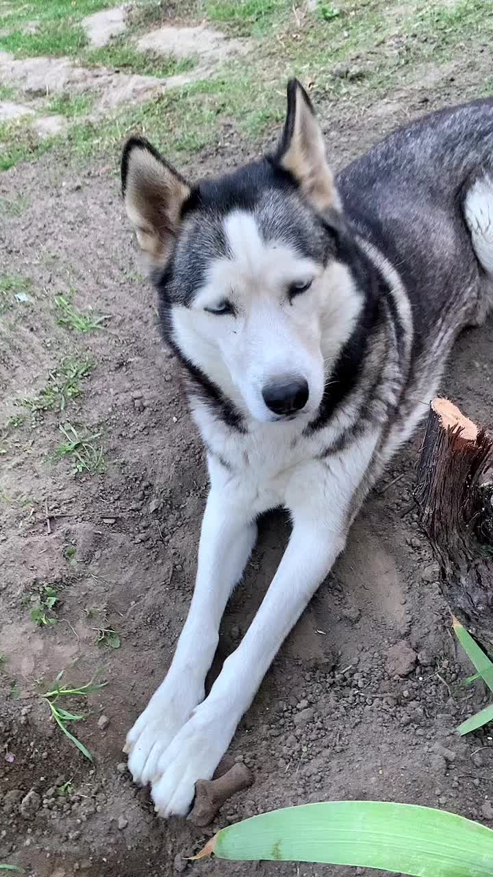 @Neli Káli, 🥰