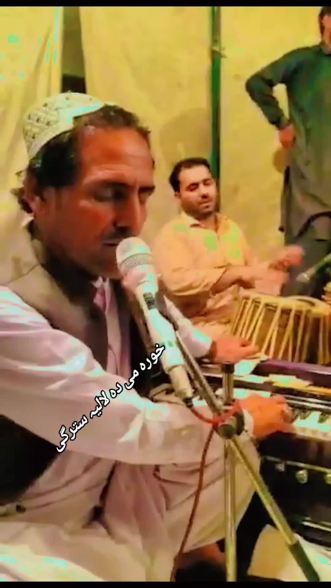 @محمدعمرساحل زانکی 1