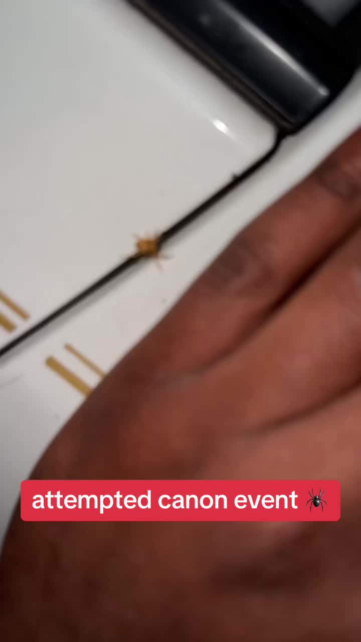 @aamanraaa