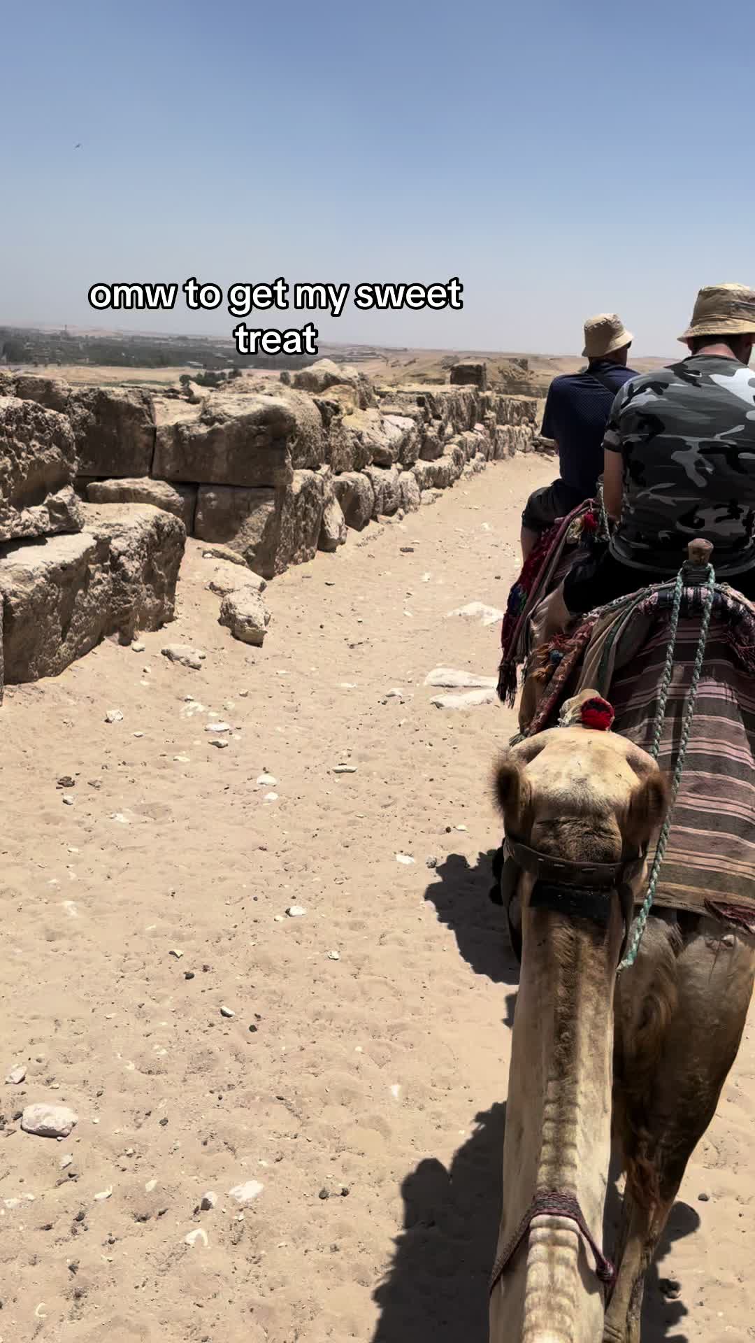 @linda🇵🇸