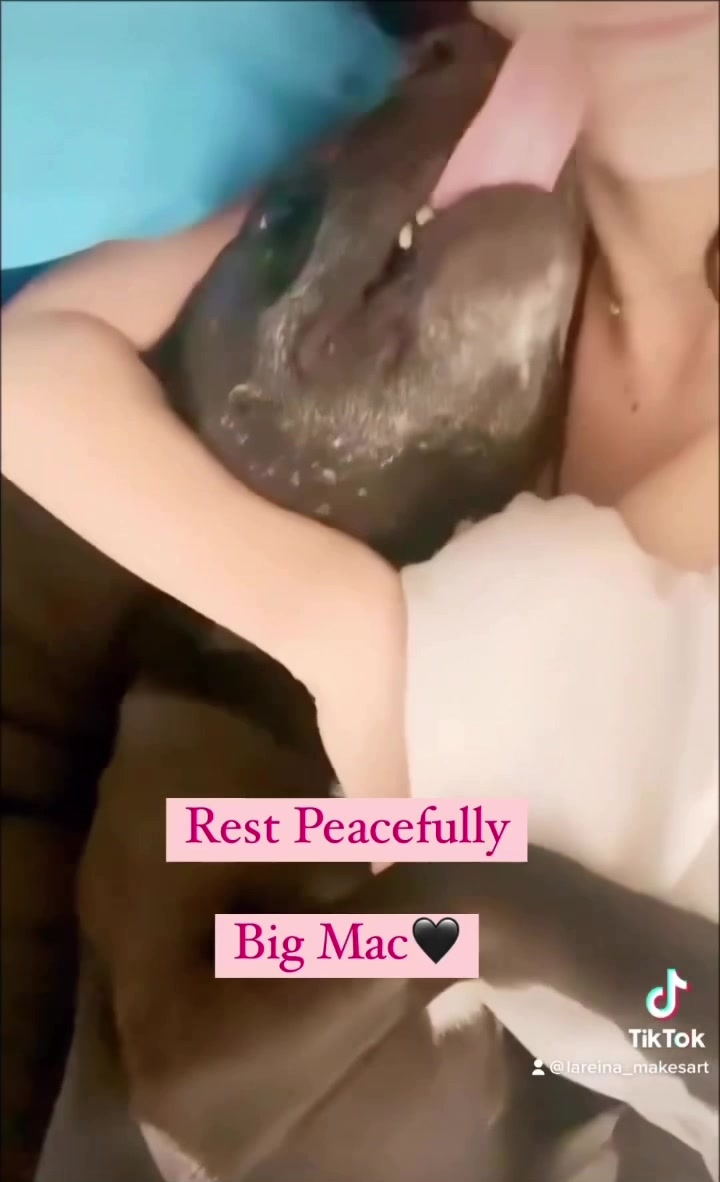 @Lareina_makesart