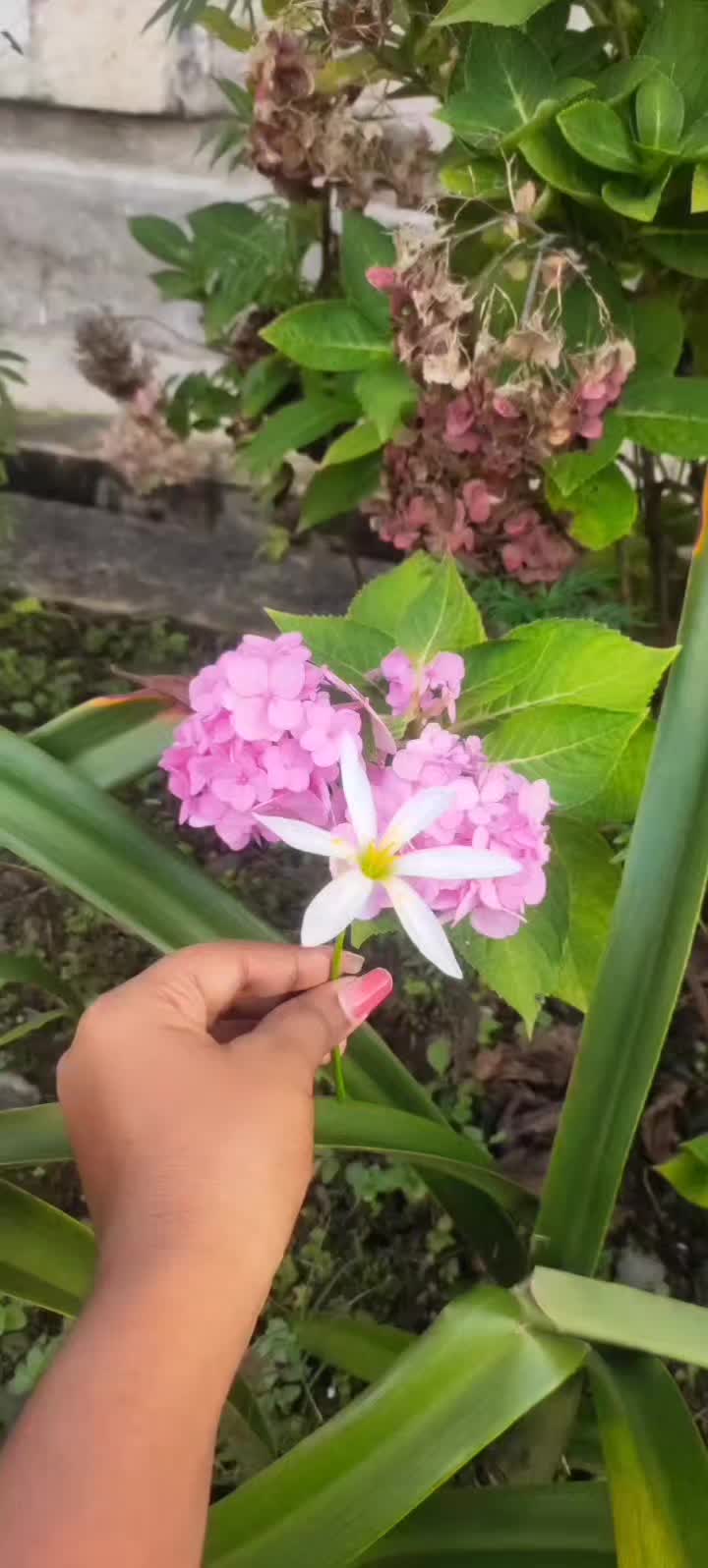@R