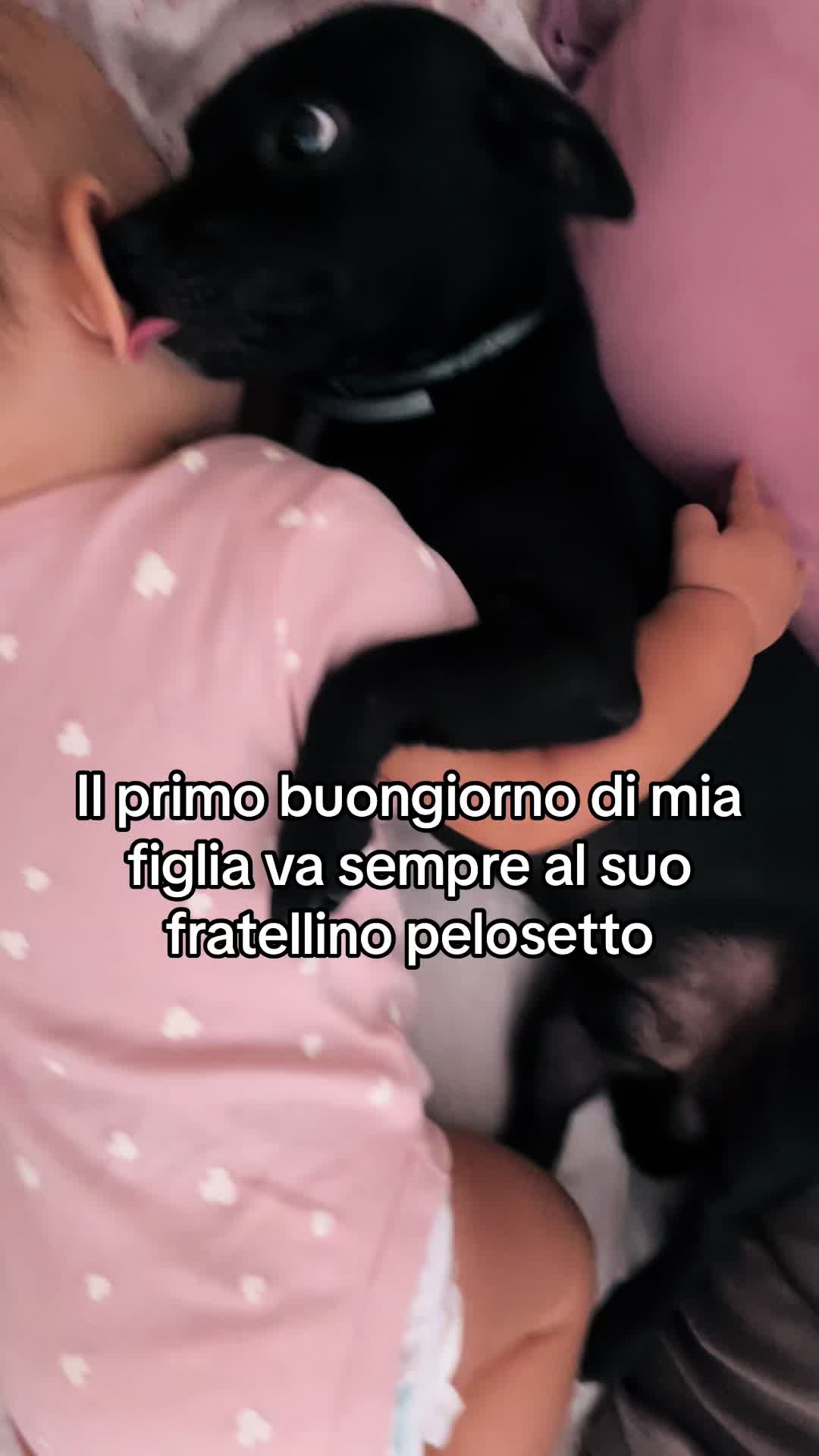 @katiasalato