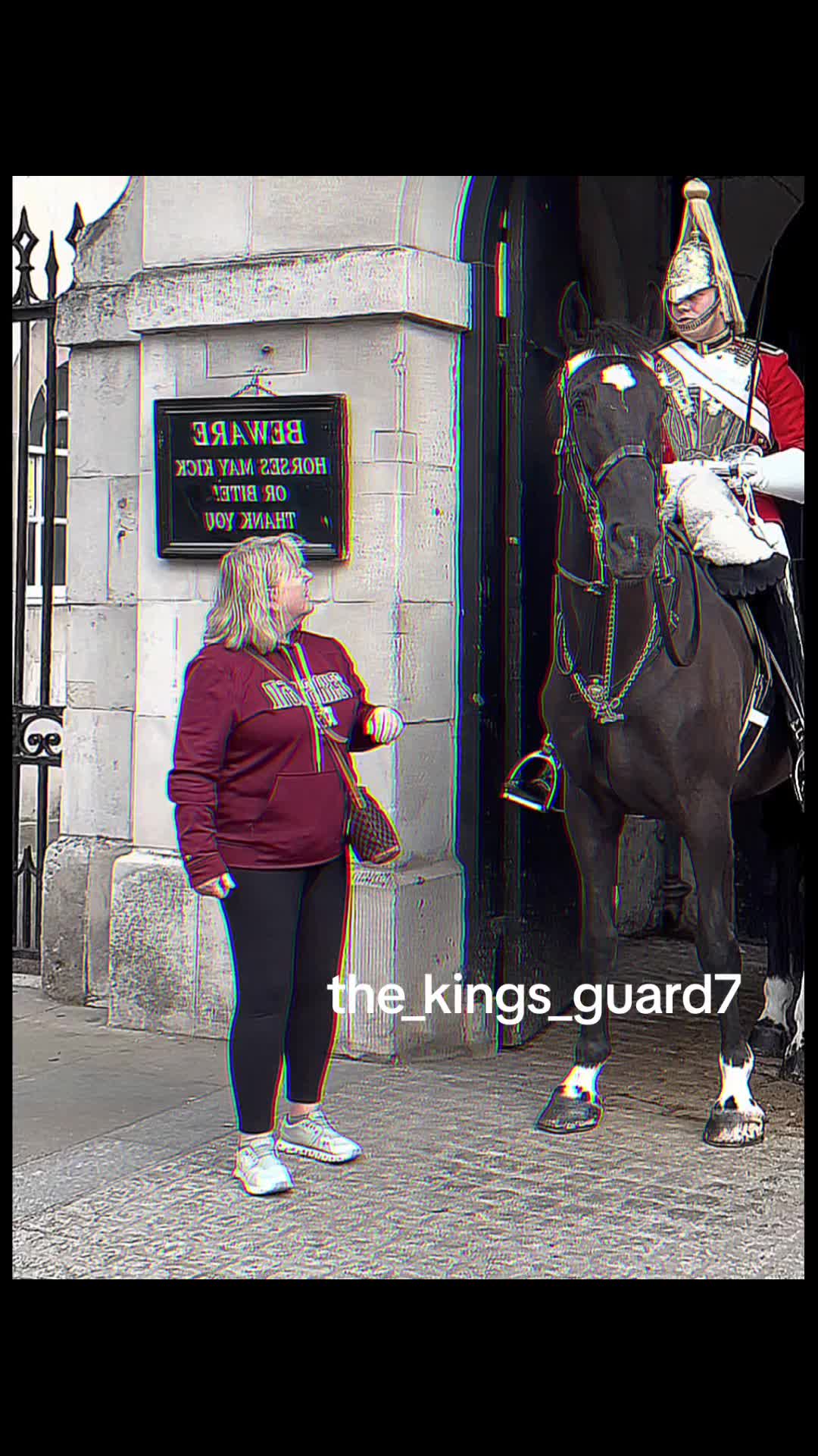 @The_Kings_Guard7