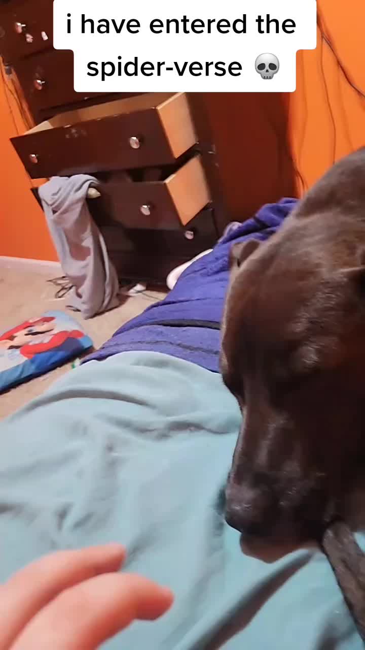 @ShadowsSpookyVideos