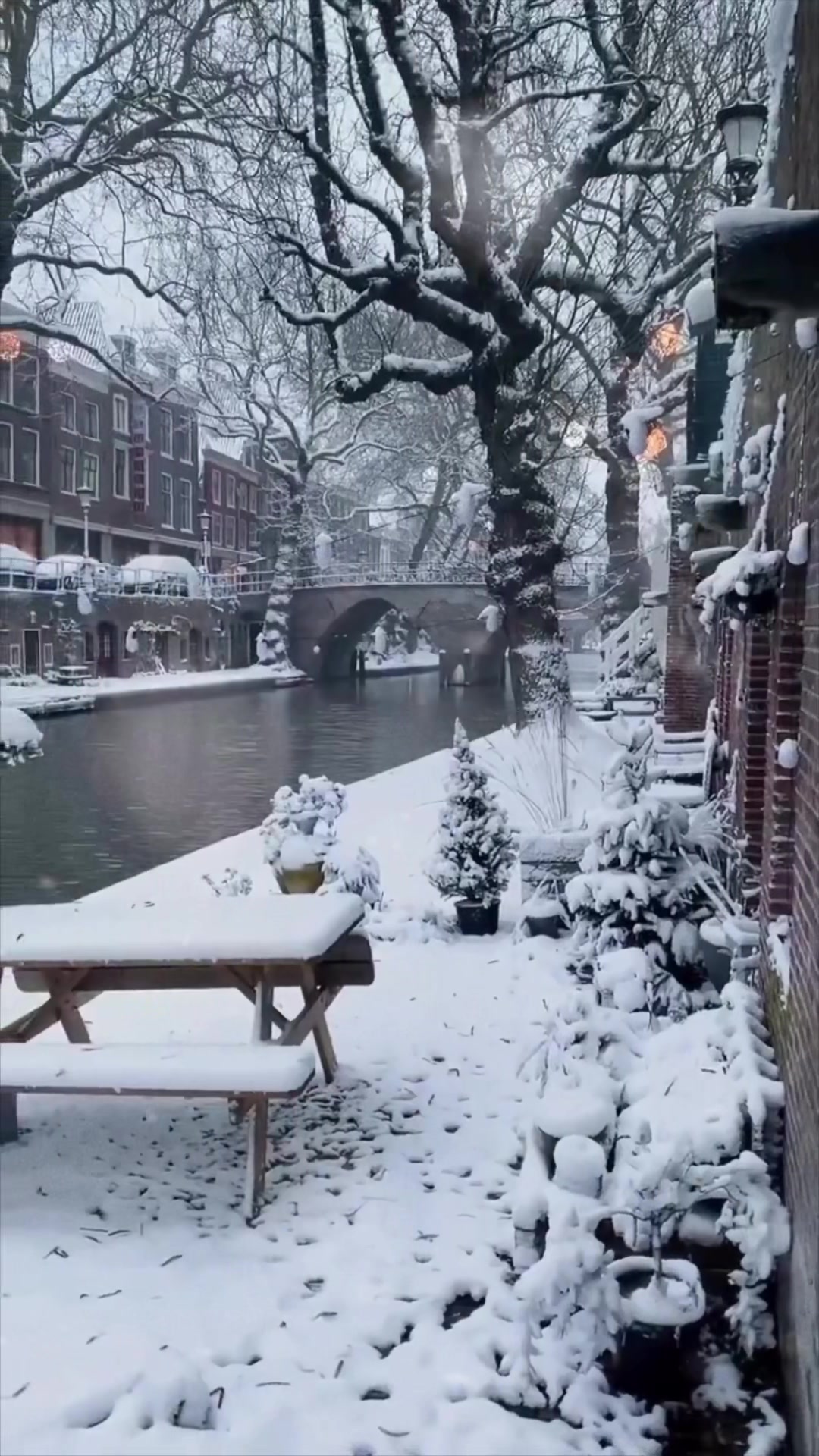@𝐂𝐇𝐑𝐈𝐒𝐓𝐌𝐀𝐒 ☃︎