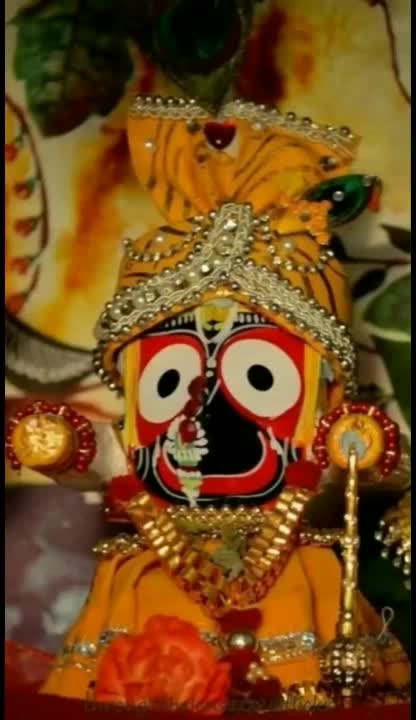 @chirag Dudhatra