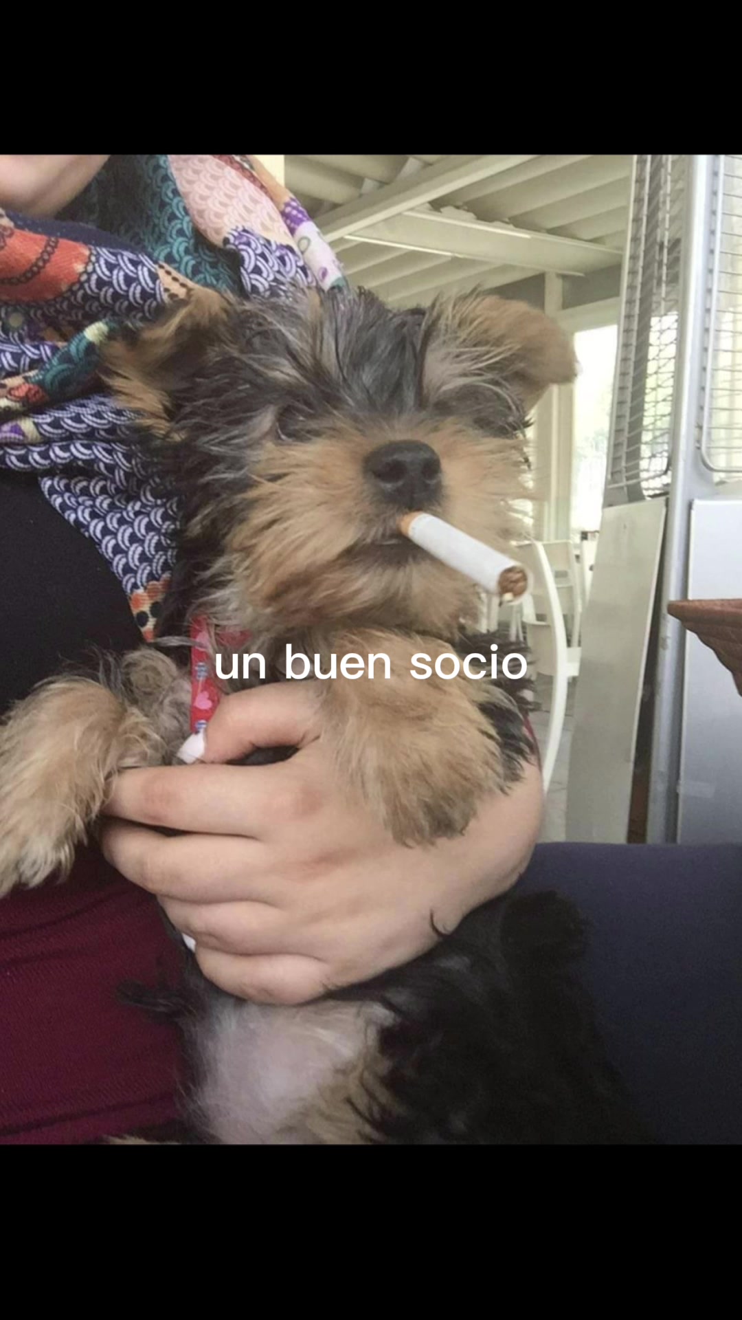 @Elena Mangiagli