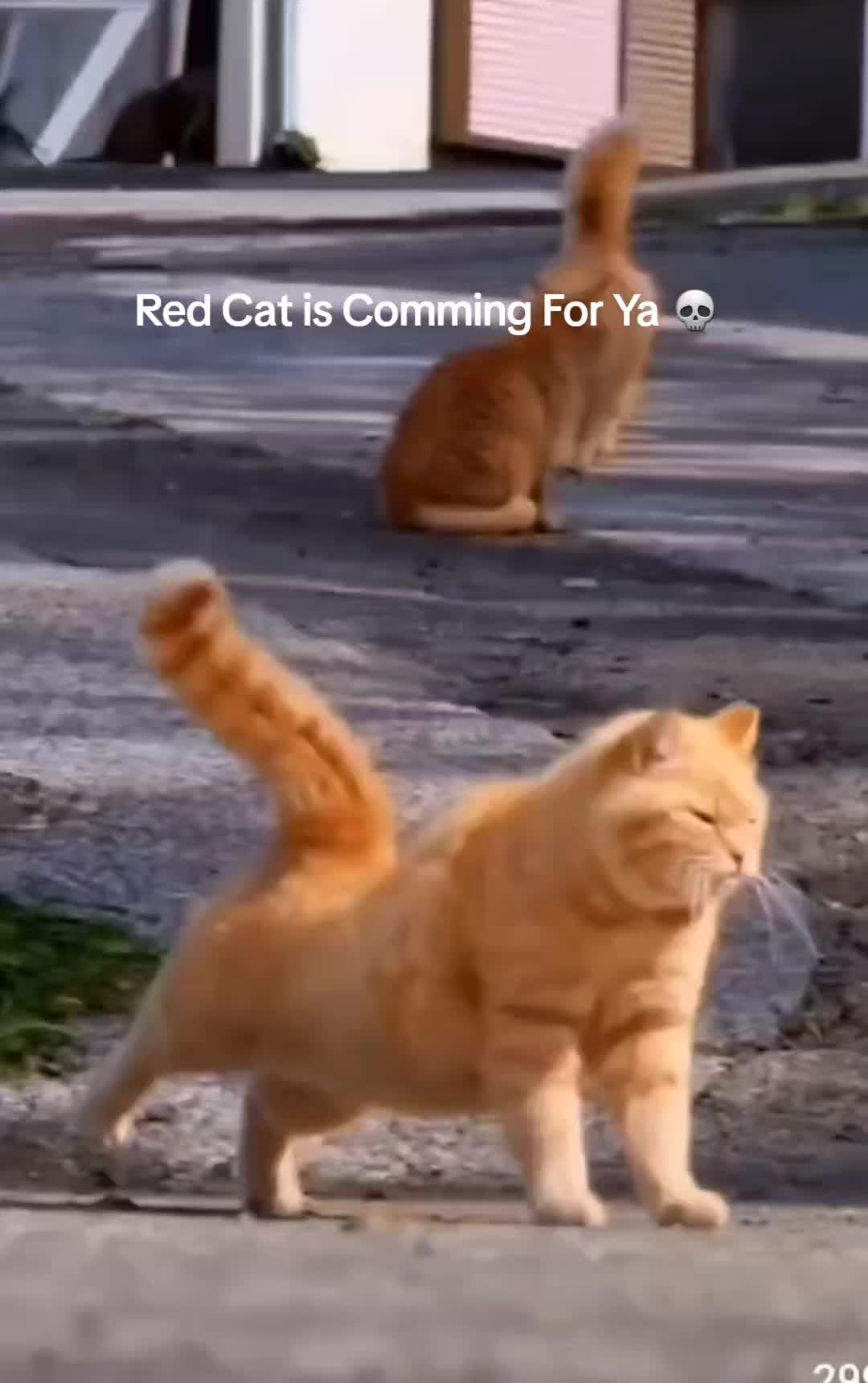 @viral2dayy