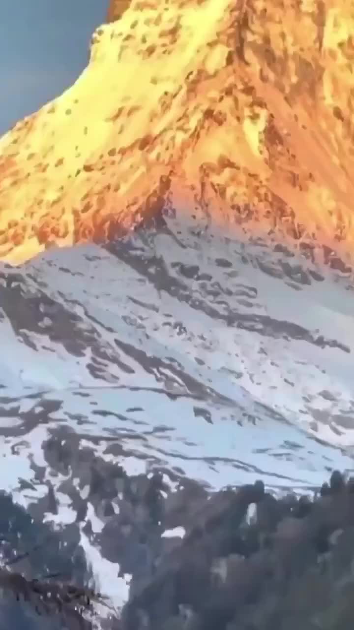 @cbdjskhbp0n