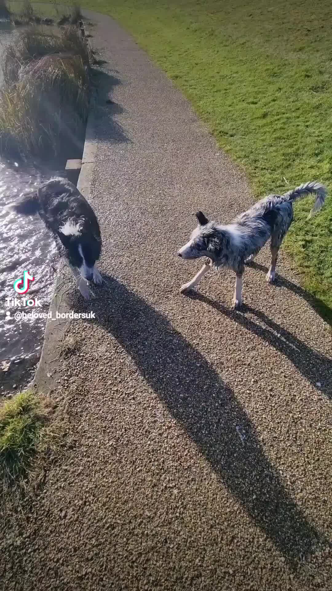 @Beloved Borders uk