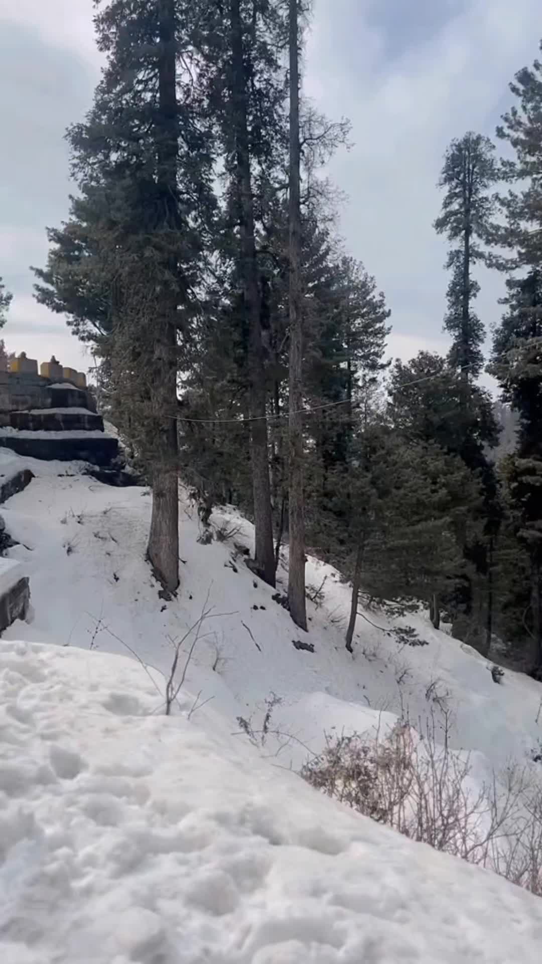 @Tahiirz