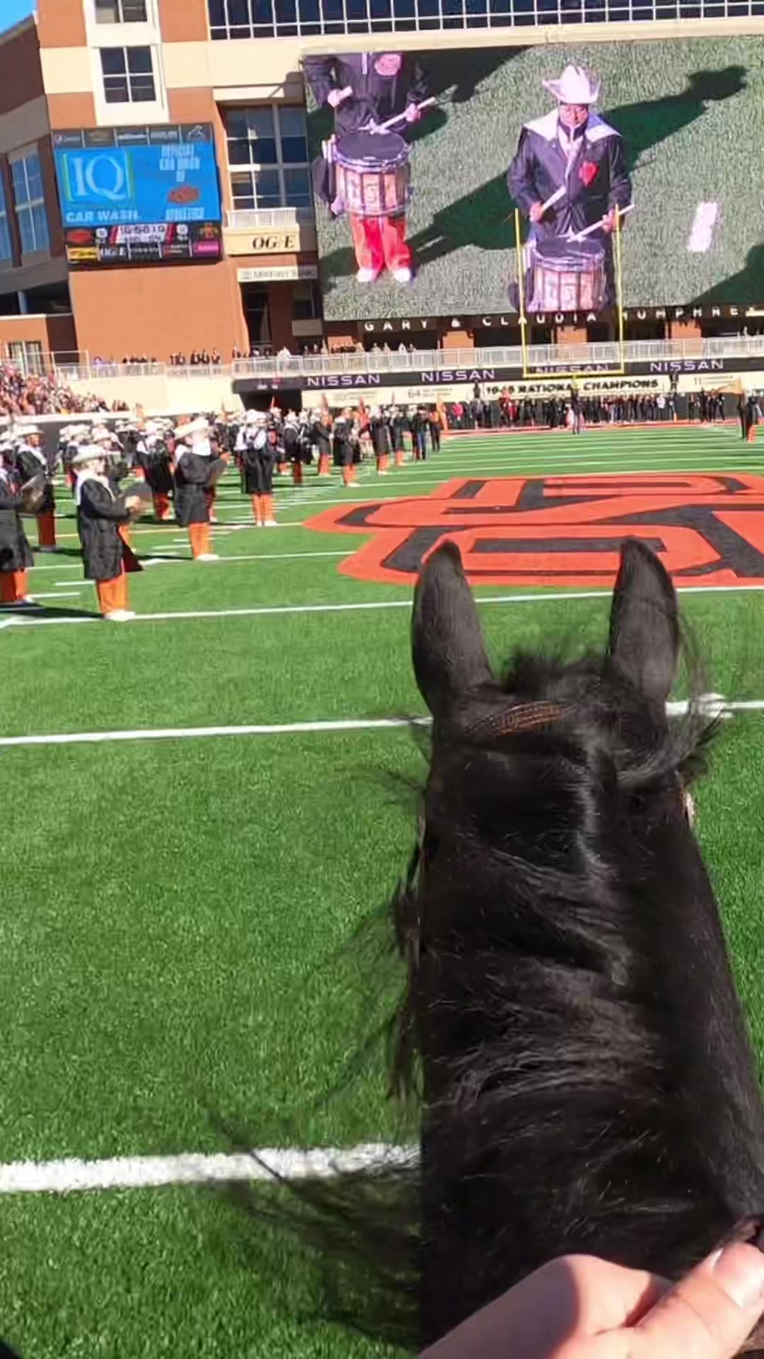 @OSU Drumline